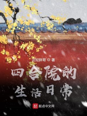 四合院的生活日常封面